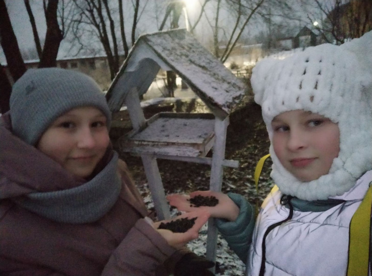 Птичья столовая.
