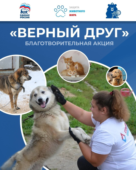 Благотворительная акция «Верный друг».