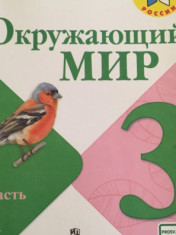 Окружающий мир. 3 класс